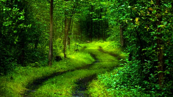 Wallpapers - HD Desktop Wallpapers Free Online: Breath-taking Nature 