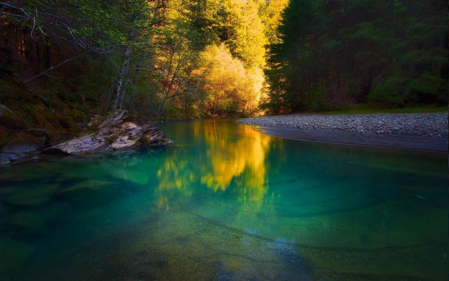 nature, River, Forest, Water, Trees, Yellow, Green, Calm, Landscape 