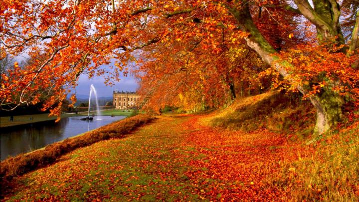 Latest Top HD Autumn Wallpapers | HDIMAGESPLUS