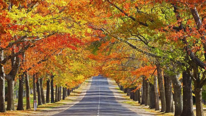 Beautiful Autumn HD Wallpapers 1920x1080 -