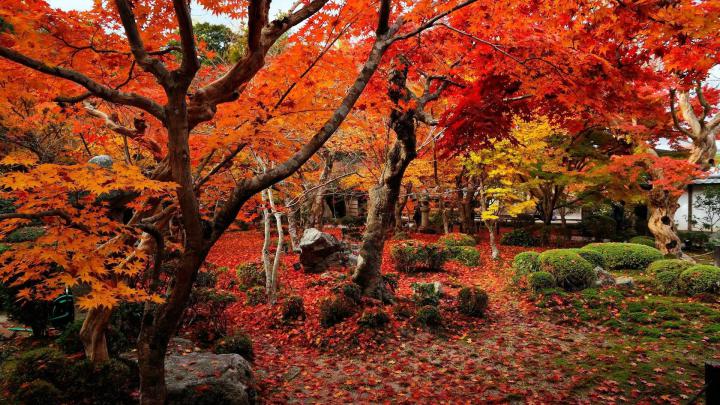 Autumn HD Wallpaper (75+ pictures)