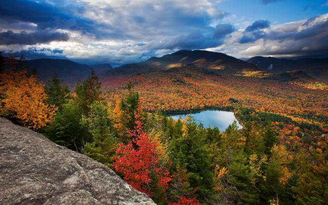 autumn colorful forest - HD Desktop Wallpapers