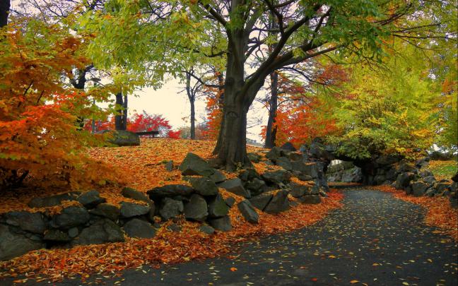Desktop HD Autumn Wallpapers | HDIMAGESPLUS