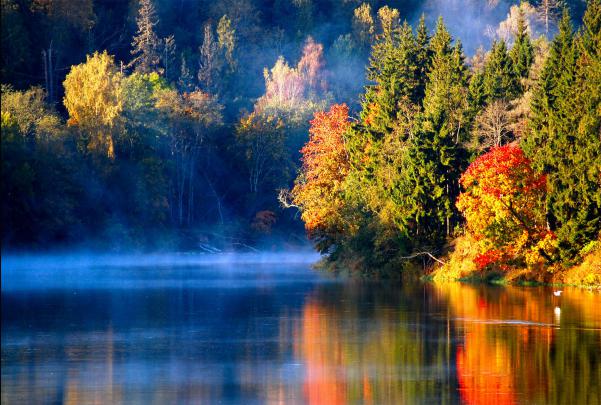 Autumn HD Wallpapers