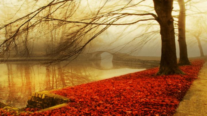 Autumn Wallpapers HD