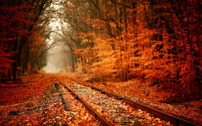autumn wallpaper hd - HD Desktop Wallpapers