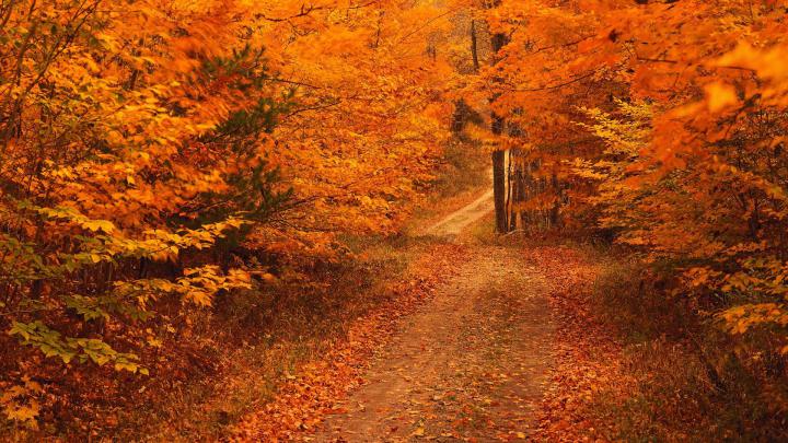 Autumn HD Wallpapers