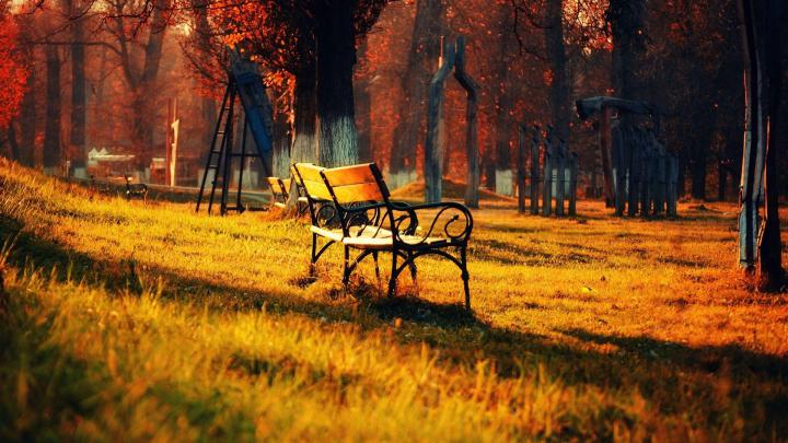Autumn HD Widescreen Wallpaper -