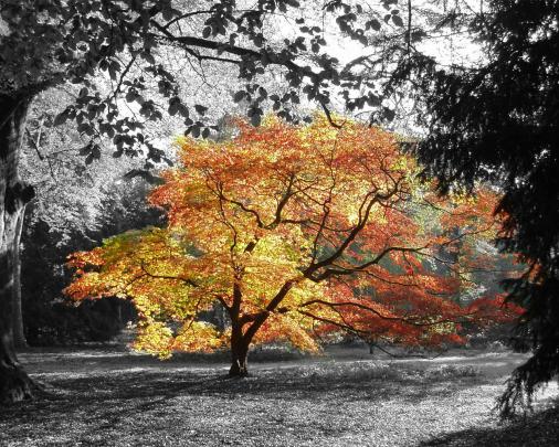 Desktop HD Autumn Wallpapers | HDIMAGESPLUS