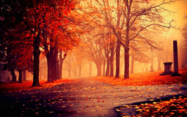 HD Autumn Wallpaper (80+ images)