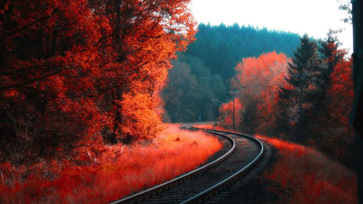 Railway Between Red Blossom Autumn Forest 4K HD Nature Wallpapers | HD 