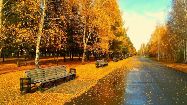 1920x1080 HD Autumn Wallpapers (61+ images)