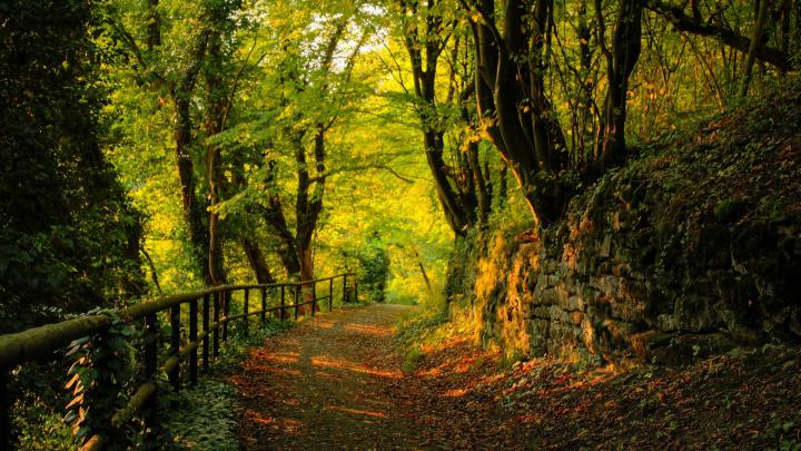 autumn, 1920x1080, Hdtv, 1080p Wallpapers HD \/ Desktop and Mobile 