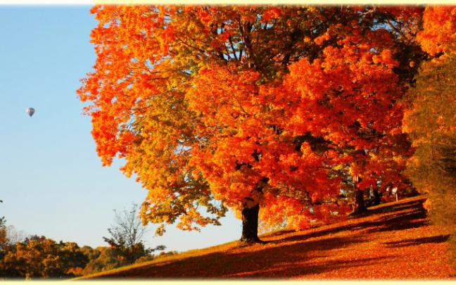 fall wallpapers cool - HD Desktop Wallpapers
