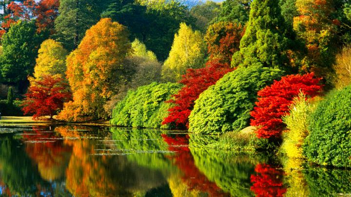 Colorful Autumn Trees With Reflection On River During Daytime HD Nature 