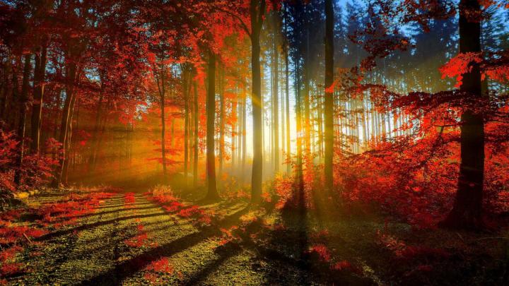 1920x1080 HD Autumn Wallpapers (61+ images)
