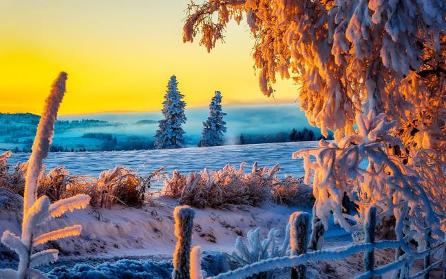 56+ 4K HD wallpapers \u00b7\u2460 Download free amazing backgrounds for desktop 