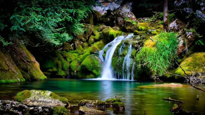 Beautiful Scenery Waterfalls On Green Algae Covered Rocks In Forest 