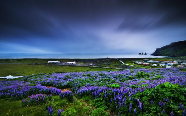 Beautiful Nature wallpaper \u00b7\u2460 Download free full HD wallpapers for 