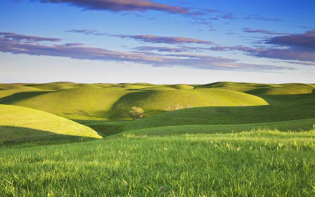 wallpapers: Grassy Hills Wallpapers