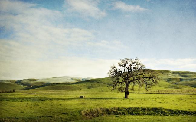 Green Hills Wallpapers (67+ background pictures)