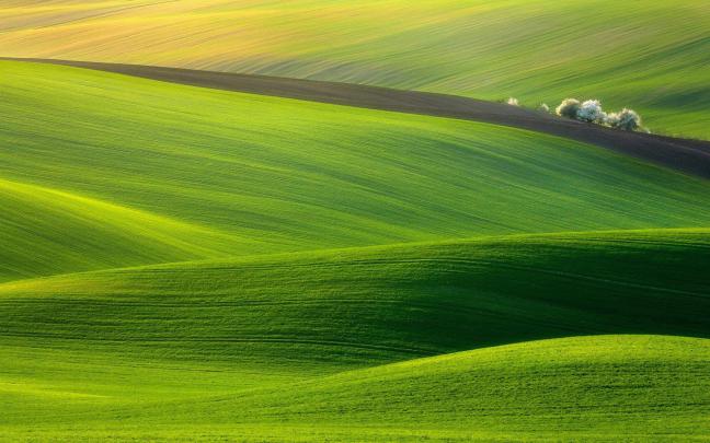 Green Hills Wallpapers