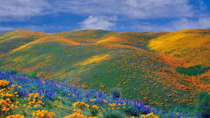 hills wallpaper - HD Desktop Wallpapers