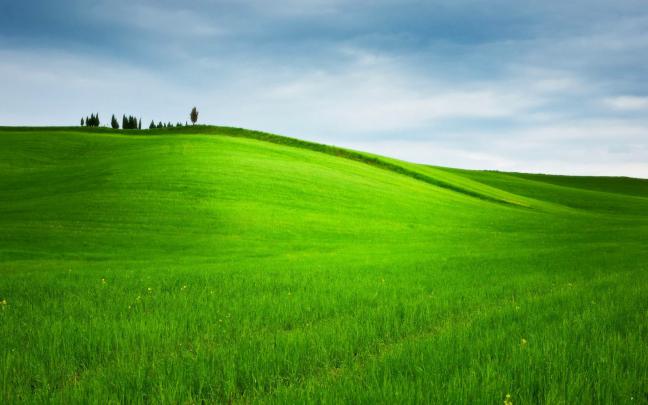 Grassy Hills Wallpapers - Top Wallpaper Desktop