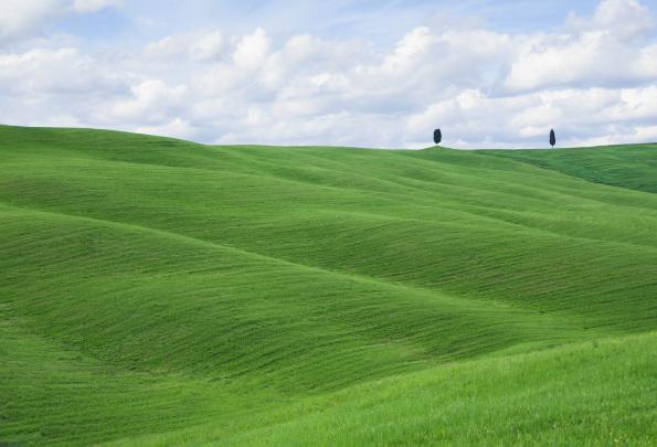 Beautiful image of hills, desktop wallpaper of grass, grass | ImageBank.biz