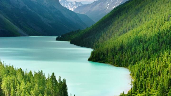 landscapes nature trees forest hills valley lakes 1920x1080 wallpaper 