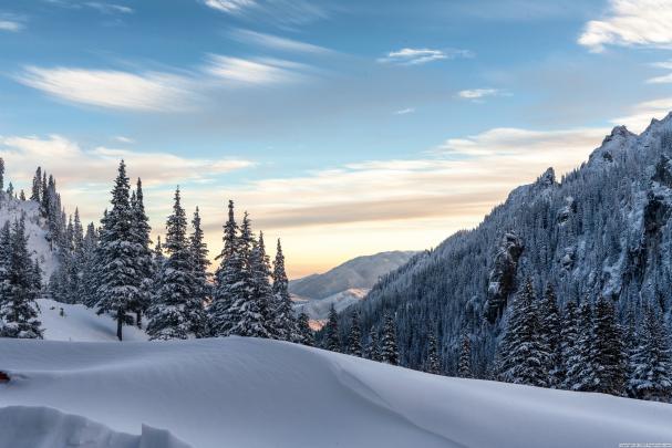 winter, Forest, Trees, Hills, Snow Wallpapers HD \/ Desktop and Mobile 