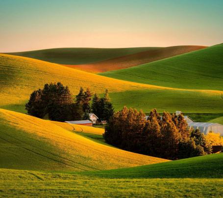 Green Rolling Hills Wallpapers
