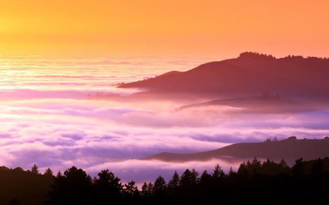 landscapes, Trees, Hills, Fog, Mist, California Wallpapers HD \/ Desktop 