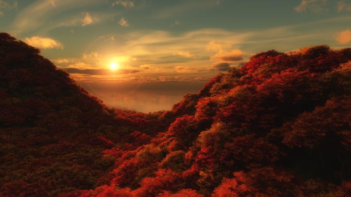 nature, Landscape, Trees, Forest, Sun, Fall, Clouds, Hills Wallpapers 