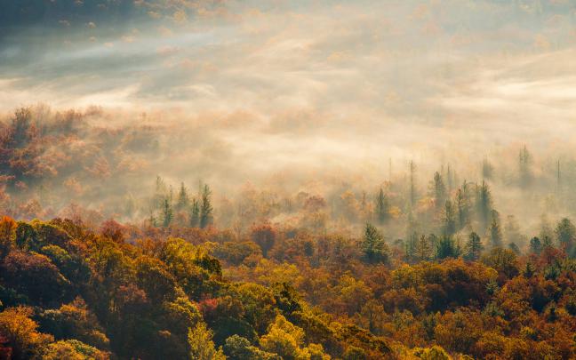 nature, Landscapes, Hills, Fog, Mist, Haze, Trees, Forest, Color 