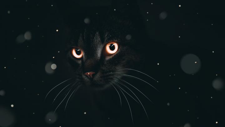 Mode 4K wallpapers for your desktop or mobile screen free and easy to 