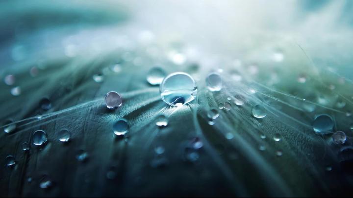 Awesome Crystal Water Drops Leaf - Animated Desktop Wallpaper - Live 