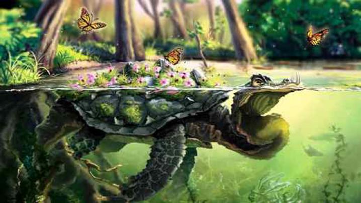 Reptile Fantasy Turtle - Live Desktop Wallpapers