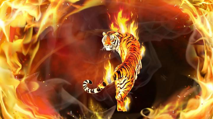 Tiger In Flames Digital Art 2K Quality - Free Live Wallpaper - Live 