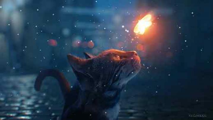 Cat Looking At \u0430 Glowing Fairy Butterfly - Live Desktop Wallpapers