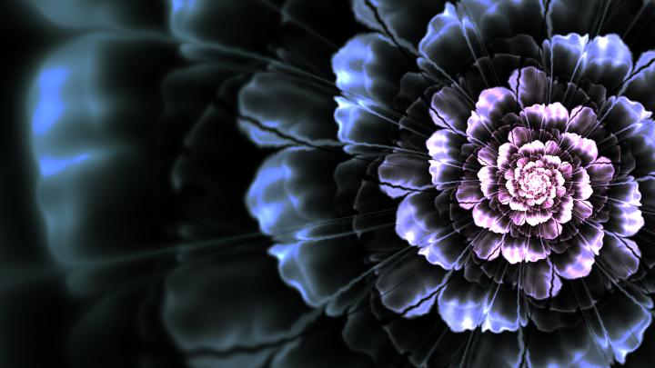 Dahlia Desktop Wallpaper