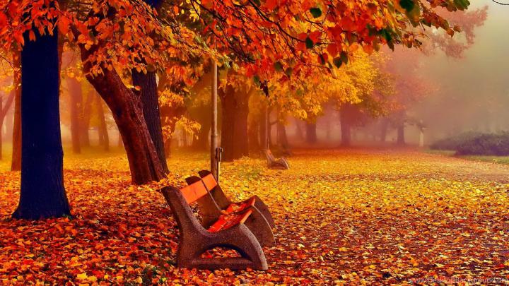 Autumn Fall Wallpapers November - \u039a\u03b1\u03bb\u03bf \u039c\u03b7\u03bd\u03b1 1\u03b7 \u039d\u03bf\u03b5\u03bc\u03b2\u03c1\u03b9\u03bf\u03c5 - 1920x1080 