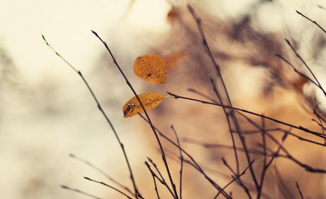 November Wallpapers HD