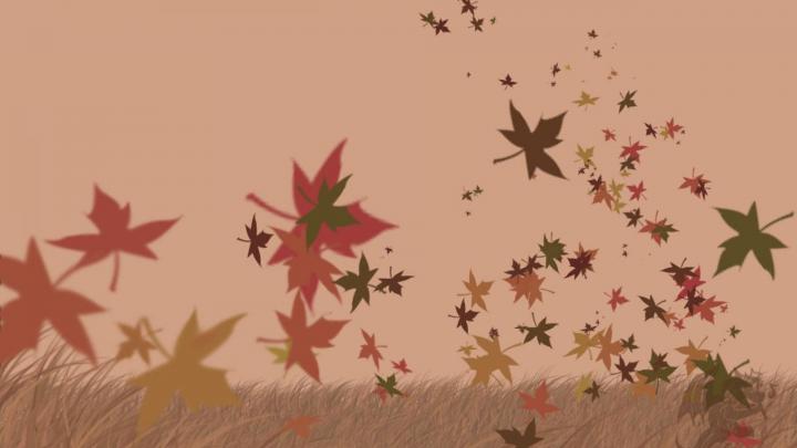 November Wallpapers (72+ background pictures)