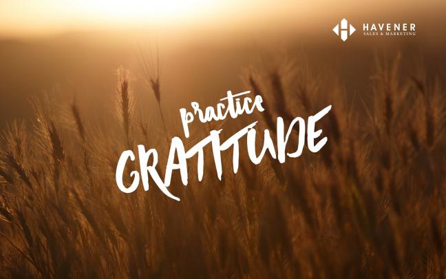 November\u2019s Desktop Wallpaper + How Gratitude Helps to Achieve Goals
