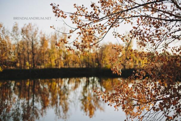 2013 November Free Wallpaper for Desktop iPad \u0026 iPhone (con im\u00e1genes)
