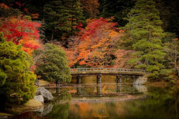 November background \u00b7\u2460 Download free awesome High Resolution 