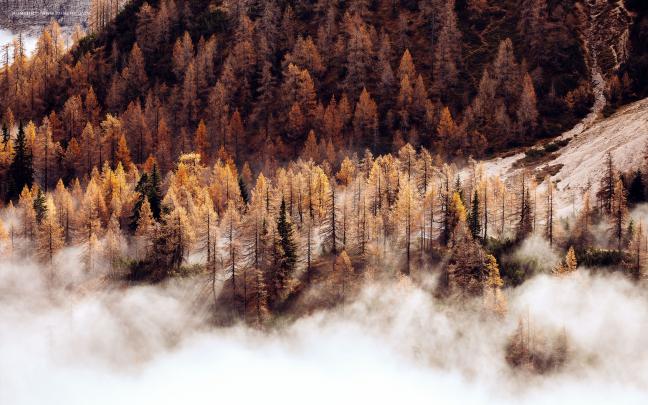 \u00bb Desktop wallpaper: November 2018