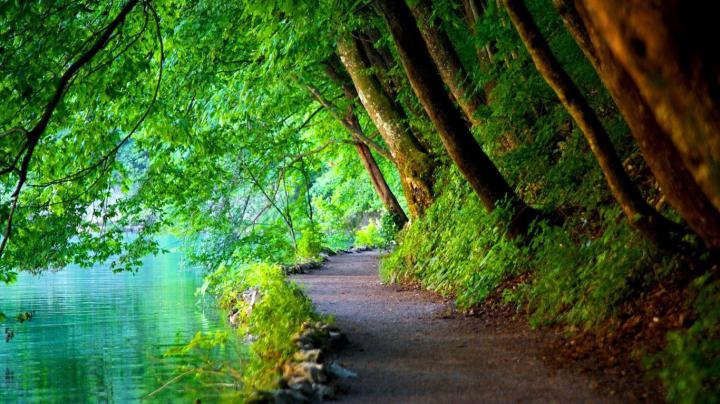 Gif Wallpaper Hd Nature : Nature Wallpaper HD Desktop 