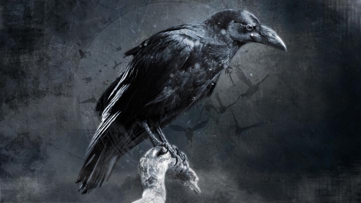 crow, Digital art Wallpapers HD \/ Desktop and Mobile Backgrounds